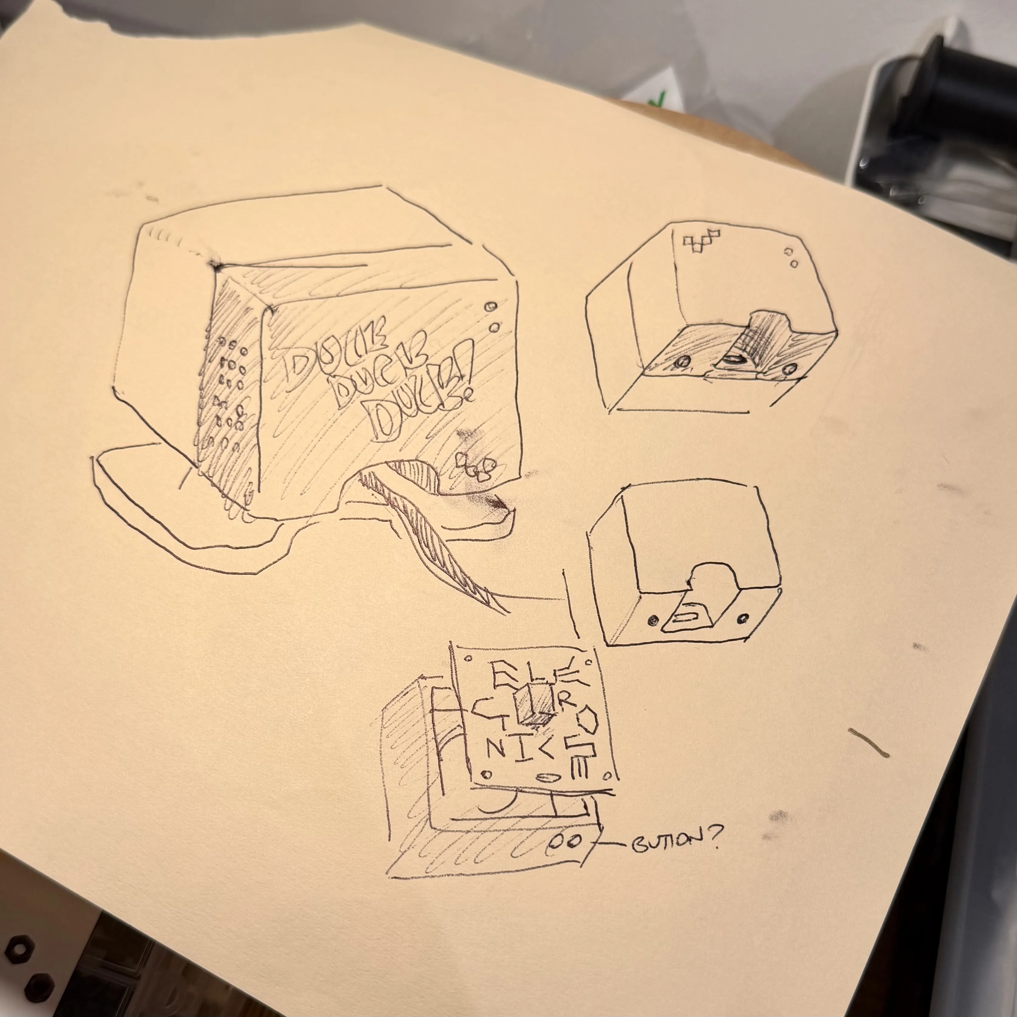 Early form sketch of the duck enclosure